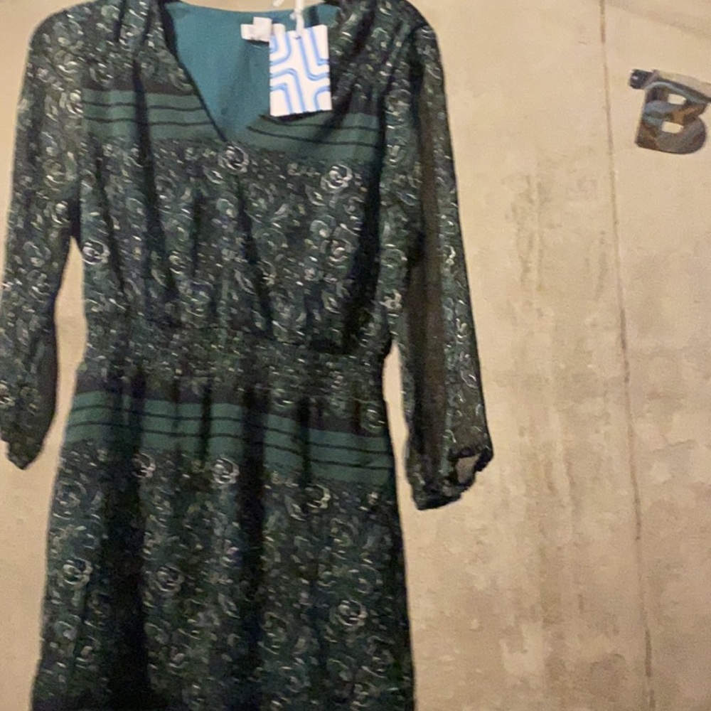 NWT dress